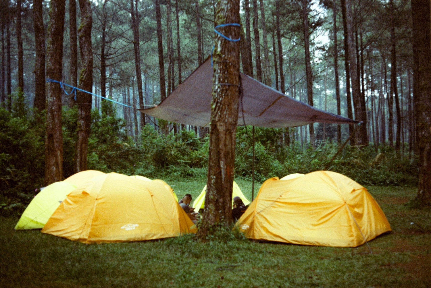 Tents & Shelters